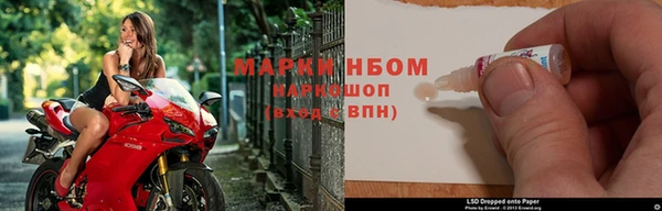 крисы Верея