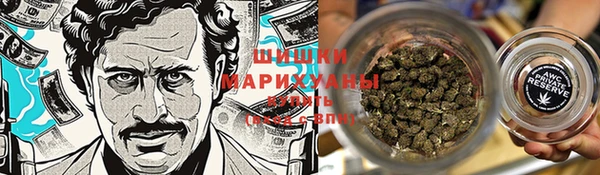 крисы Верея